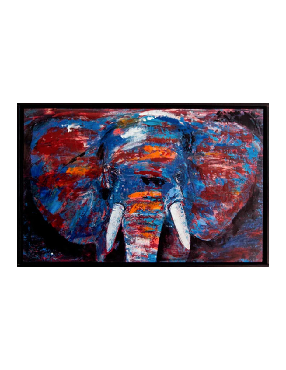 Cuadro Decorativo Color Elephant