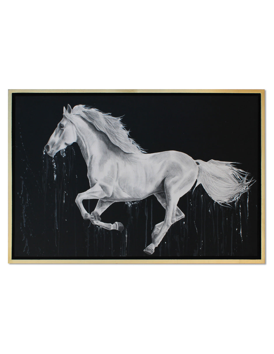 Cuadro Decorativo White Horse