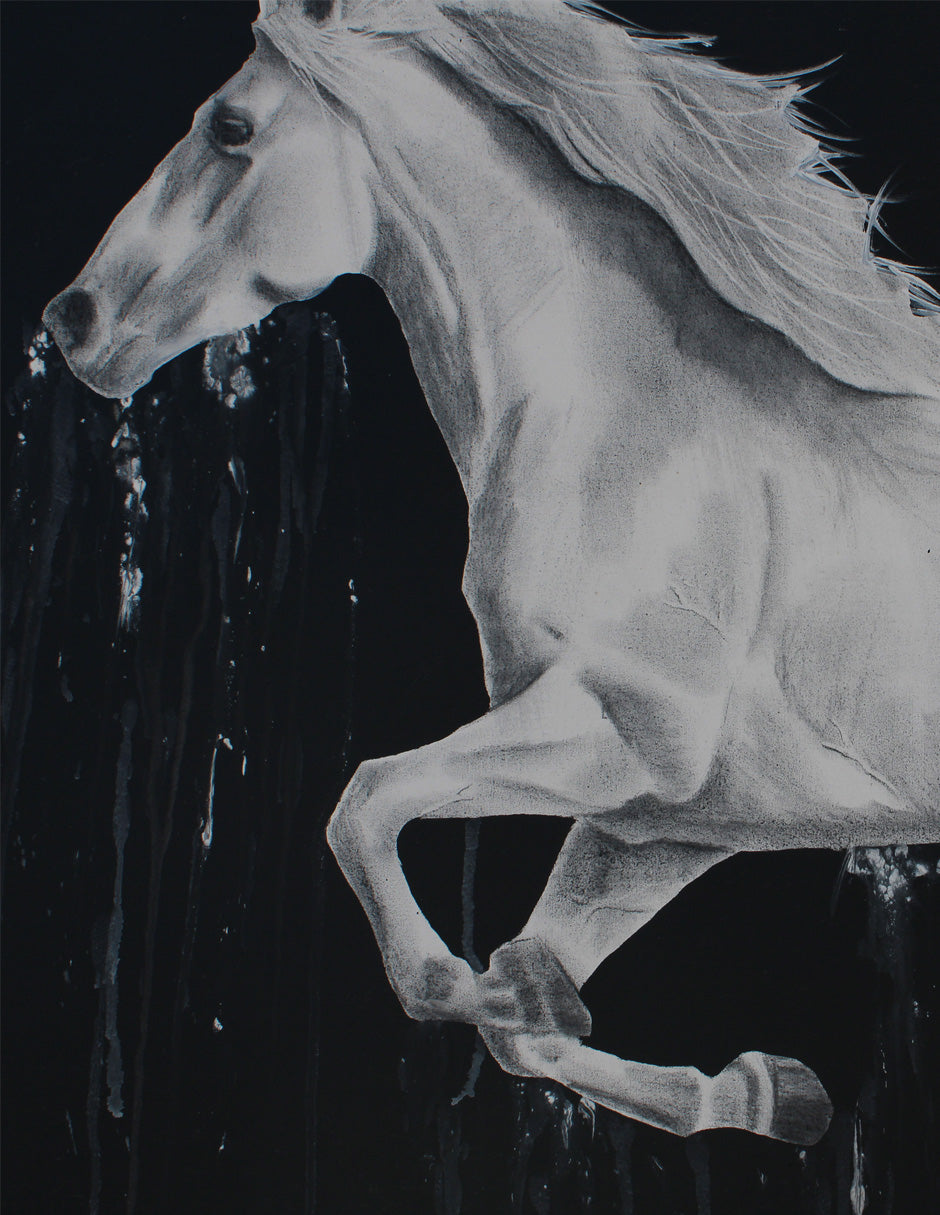 Cuadro Decorativo White Horse