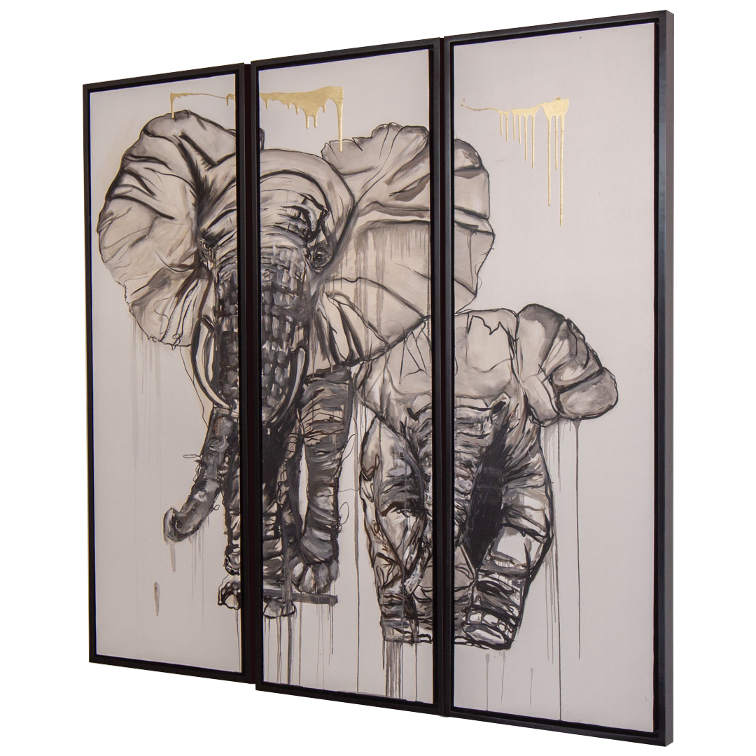 Set de 3 Elephant Black & White
