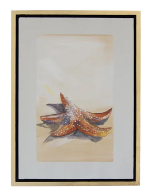 Cuadro decorativo Estrella de Mar