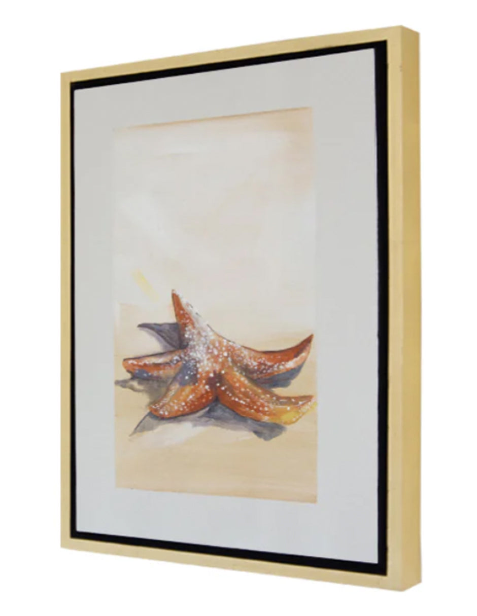 Cuadro decorativo Estrella de Mar