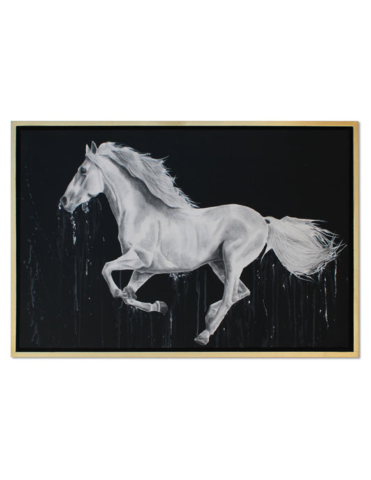Cuadro Decorativo White Horse